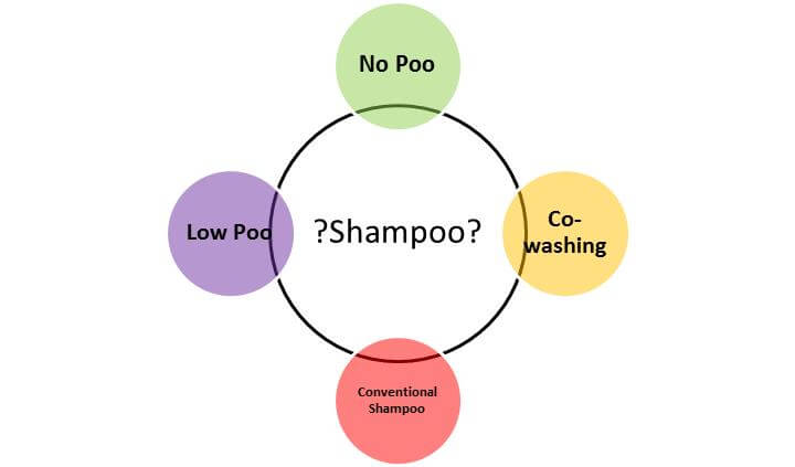 Shampoo Diagram