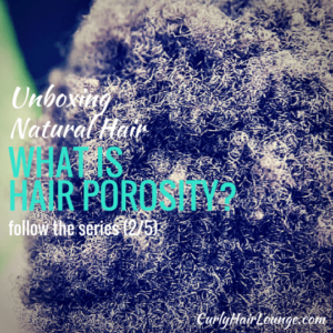 Unboxing Natural Hair What is Hair Porosity