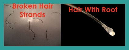 Broken Hair and Hair with Root