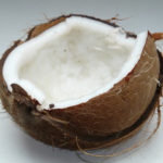 Coconut 