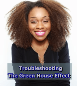 Troubleshooting The Green House Effect