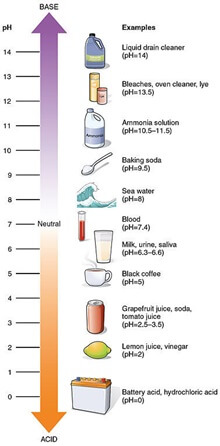 pH Scale