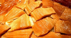 Salmon