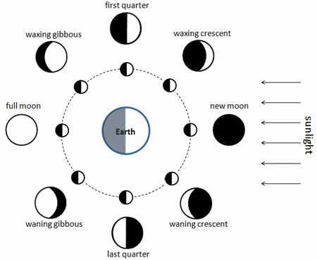 Lunar Hair Chart August 2017