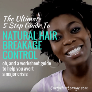The Ultimate 5 Step Guide To Natural Hair Breakage Control