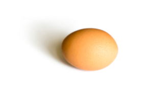 egg