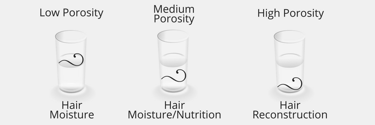 Porosity Test Results & Hair Main Needs