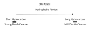 Surfactant_Hydrophobic Portion